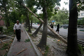 تهران در طوفان 